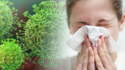 что делать, если вы заболели ОРВИ, гриппом или подозреваете у себя коронавирусную инфекцию - фото - 1