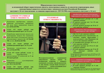 незнание закона не освобождает от ответственности - фото - 1
