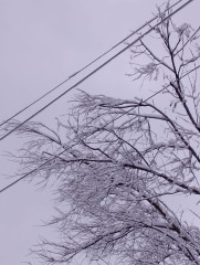 энергетики «Смоленскэнерго» готовятся к работе в условиях непогоды - фото - 1