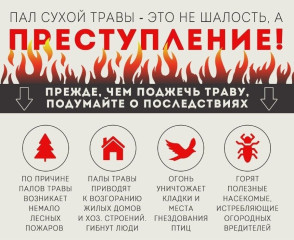 о категорическом запрете выжигания сухой растительности - фото - 1