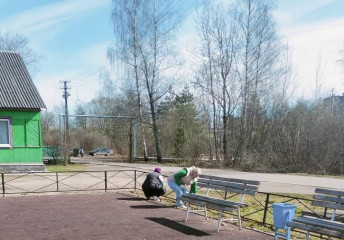 в Новодугинском округе прошел первый весенний субботник - фото - 8