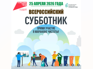 всероссийский субботник — 25 апреля 2026 года - фото - 1