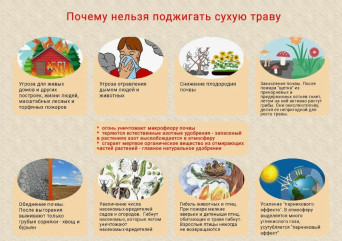 памятка О ЗАПРЕТЕ ВЫЖИГАНИЯ СУХОЙ ТРАВЫ - фото - 1