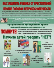 информирование об ответственности за нарушение половой неприкосновенности и свободы несовершеннолетних - фото - 1