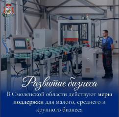 поддержки бизнеса в Смоленской области - фото - 4