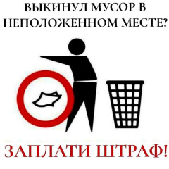 ответственность за выброс мусора в неположенном месте - фото - 1